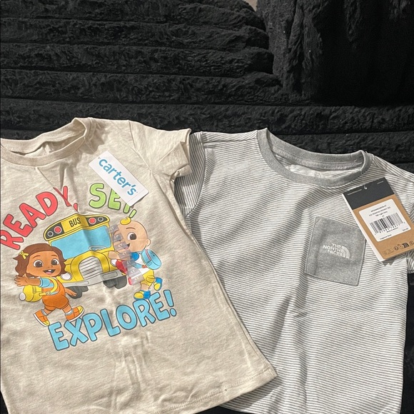 The North Face Gray Striped Pocket Tee - Picture 1 of 1